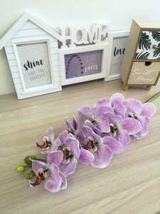 zkdGpcFpjAfmwbFaB35_GWZeLPJA-Md3qbsKm_ikkhjrNTuvNNTpGjv6FAUKZwOzjBEmSQ3VIAZYmomIHKnMQaAH