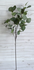 7oN58r5VRSVoLRlG0B82FOP1c8P0r9Dzdb4bFI7Yc8U3HIPNbb6zztaY730u4Bt0I_KxjeWK