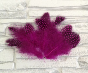 ZkmMSycLrVAONtkJCDoCbBTPxYgjbk9JhLatjf22Bi2eP9T-eJLHxxP9aDnerKkT27Tx8KLjCbmfstquMHatMaVM