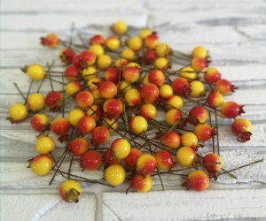 TLKsHNjGoRxZAtpL5lNsDKAfuN4A4e926wqA9-Q_hFo3MzkGrQT1MLCwukJ2C0r3FMjHaCjfHX--mTWkdegMOZV-