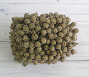 LM5withmh4F-M256zLcII-GDAjg-_hnb3uIa9zBquNQ-xNoqM8YASHiI0mrpS4MPS4fJgZRkngHsuR-6V5jFWfQQ