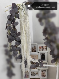 IMG_20250506_152021_edit_828574216833974 (1)