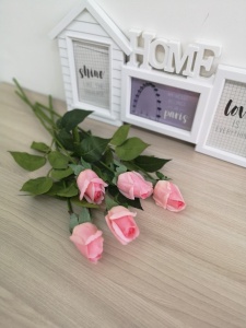 A6_Pno0tVt45749F7lMj7BxFlTeSI2HXayuGjJudBCoMPqNxTCyCDVppMR3Nt6b3AiLFHlDhYwS7fZ8bo2D-GYbn