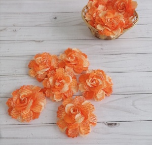 1bdz56wKedohsPipTqul7i2jG-mBRUUoPMOPR55GJTmt1I8rOMA_8YxBHshkAej3Hy2xKBeWldxlmXD44Pc068KA