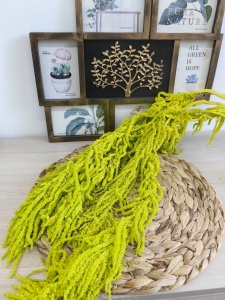 14723