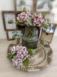 IMG_20240227_124218_edit_159774537016134