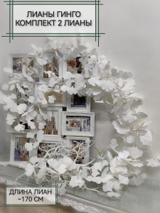 IMG_20250113_173623_edit_346164909983625