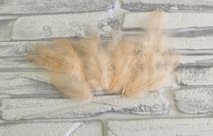 RCoxZHDqu_1LYrOGgObCCtepUz-DMUzLk4gUhQ0nDMJueVjiF8V4IEQV56c9J1RO3Jb9FjEGUWk8LFqErJCj48m9