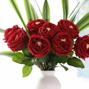 mmexport1676321437695