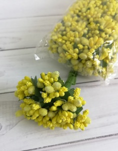 4YFj7NJxDWT3r6vkrzAyVhMpleoFBQw96TfKfekXVEzw52-yDeCiMHfCf3XIyonLUDWiYo3SuSGy_be1j9vKlI4i